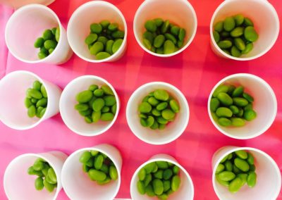 Edamame at Mondays Monthly Glance- April 2017