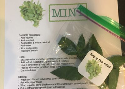 Mint on a paper describing health benefits of mint