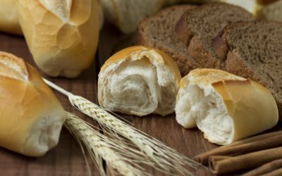 White Bread vs. Whole Grain Bread