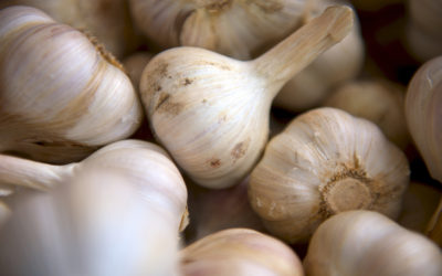 Keep Calm And Garlic On…It’s National Garlic Day!