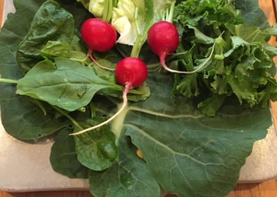 Cutting board with radishes on a bed of greens Mondays At Racine Wendy Kaplan RD