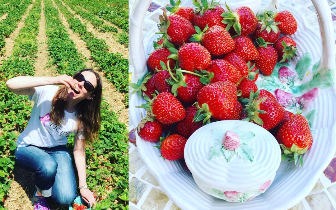 Two photo gallery depicting Wendy Kaplan, RD eating strawberries in the field and a basket of strawberries on a table Wendy Kaplan RD Mondays At Racine